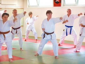 Karate 50+