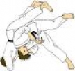 Judo-Sommerturnier